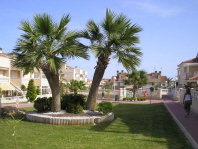 Zeniamar Image